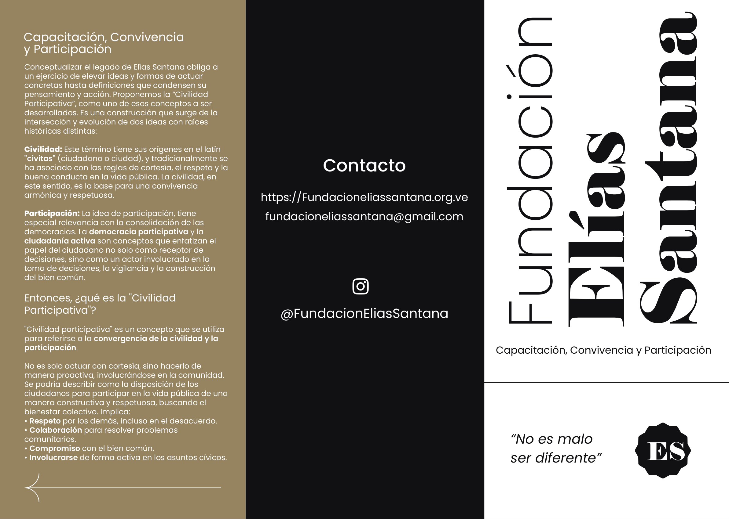 Tríptico Oficial Fundación Elías Santana